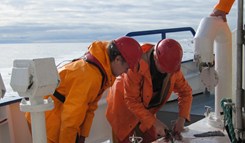 Tar prøver av makrellfangsten på Stålringen 2012